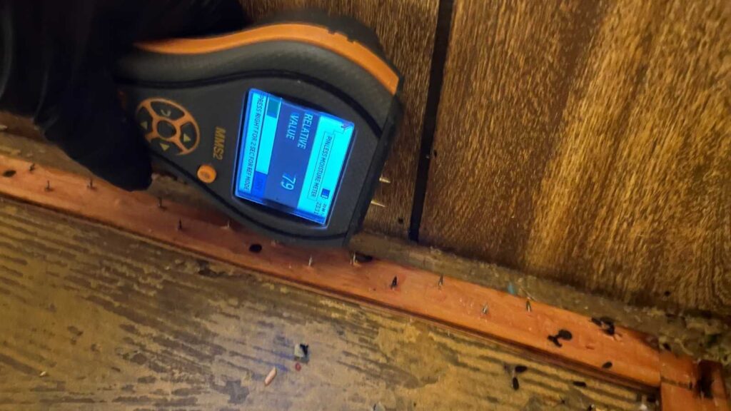 A hand holds a digital moisture meter displaying a reading of 79, positioned next to wooden flooring and exposed nails.